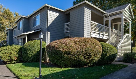 A grey house near bushes and a lamp